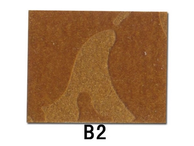 B2